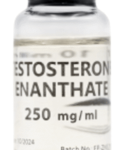 Testosterone Enanthate for Sale